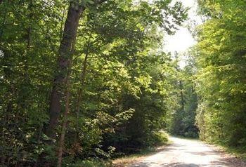 St. Clair Camping Resort Marysville Exteriör bild